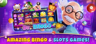 284 bet 284 bet